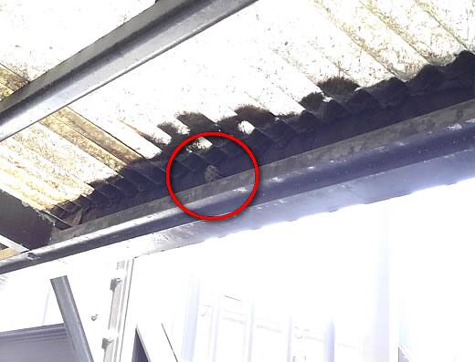 アシナガバチの巣駆除雨避け屋根